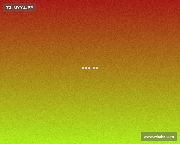 解决赛赛事实 赛事过程